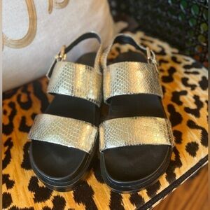 AEROSOLES Women’s Gold Buckle Sandal Leggenda